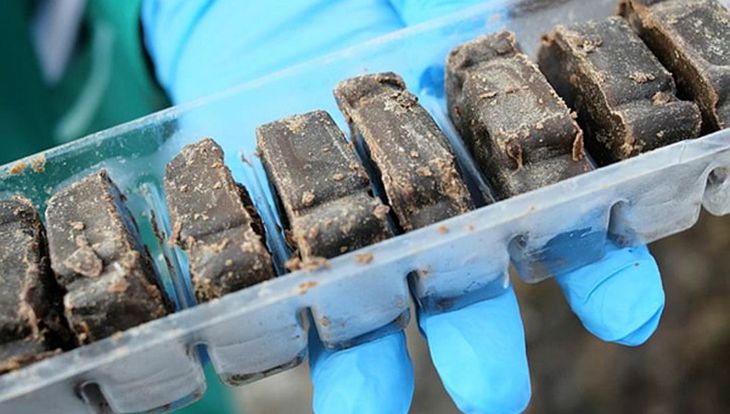  «Будьте осторожны». В Гродненском районе с воздуха разбрасывают вакцины-приманки для животных