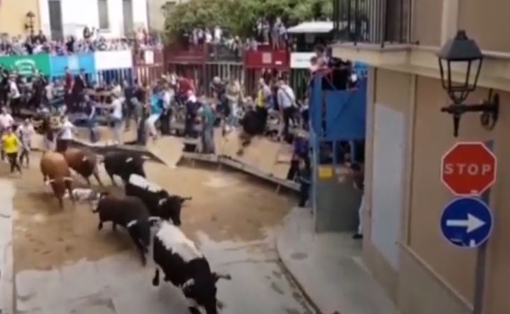 «Сбивали с ног и подбрасывали в воздух»: Разъяренные быки атаковали толпу зрителей в Испании