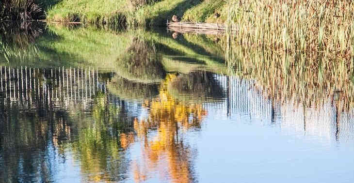 Ушел на работу и не вернулся. В Гомеле в водоеме нашли тело мужчины Ушел на работу и не вернулся. В Гомеле в водоеме нашли тело мужчины