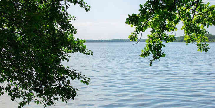 Российский подросток ценой жизни спас детей