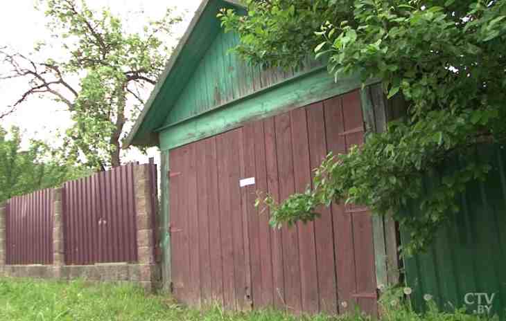 «Хорошие вроде бы, спокойные»: соседи о семье убитого в Лепеле мальчика