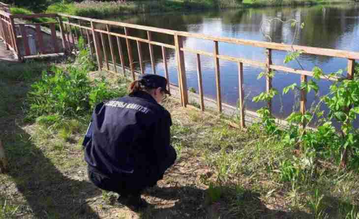 Гибель троих детей в Климовичском районе: комментарий СК