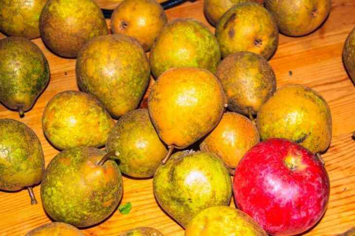 Россельхознадзор обвинил 11 белорусских компаний в ложном транзите Россельхознадзор обвинил 11 белорусских компаний в ложном транзите