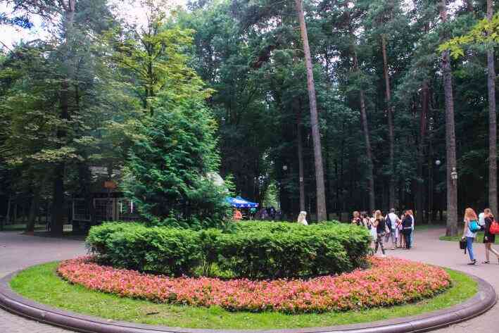 Погода на 31 мая – 2 июня 2019 года. Что ожидает белорусов Погода на 31 мая – 2 июня 2019 года. Что ожидает белорусов