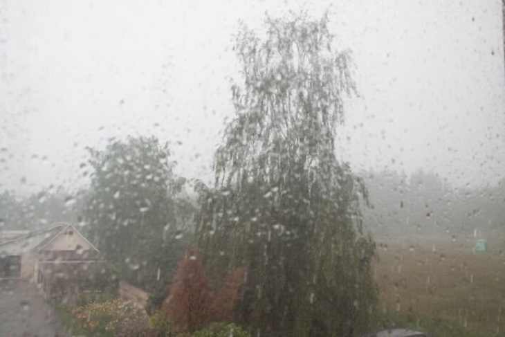 2 июня белорусов ждет непогода