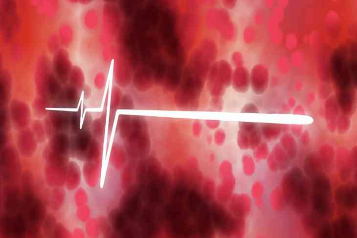 Ученые открыли продукт, который нормализует кровообращение Ученые открыли продукт, который нормализует кровообращение