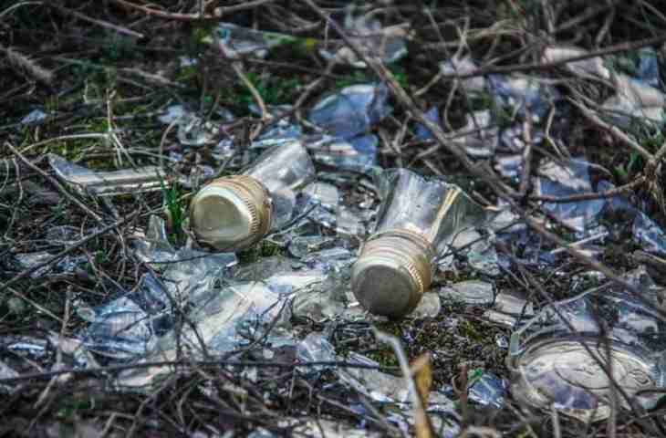 Им платят за защиту леса: в Наровлянском районе лесхоз выбросил в лес сотни тонн мусора