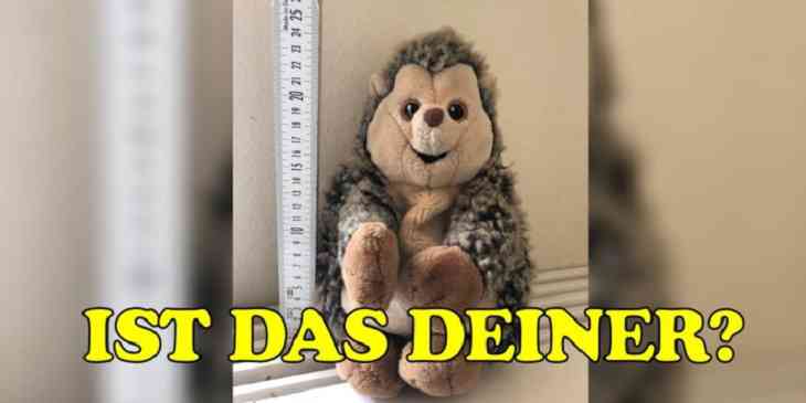 Разыскивается хозяин. Игрушечный ежик взят под стражу полицейскими