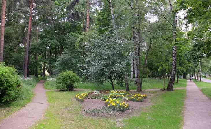 «Новорожденного задушили и упаковали в пакет». Стали известны новые подробности гибели младенца «Новорожденного задушили и упаковали в пакет». Стали известны новые подробности гибели младенца