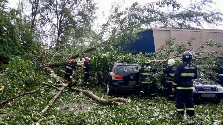 Повалены деревья, подтоплены улицы. Последствия непогоды в Минске