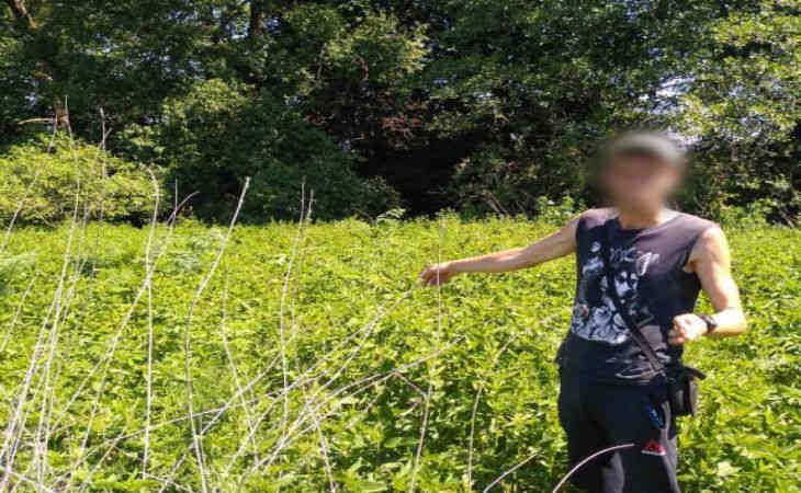 «Помешали»: В Рогачёвском районе правоохранители задержали мужчину во время сбора конопли «Помешали»: В Рогачёвском районе правоохранители задержали мужчину во время сбора конопли