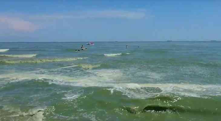 Черное море окрасилось в зеленый цвет и напугало отдыхающих Черное море окрасилось в зеленый цвет и напугало отдыхающих