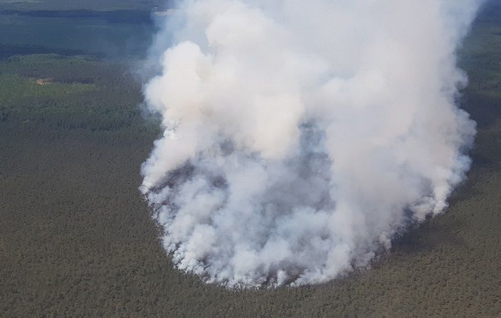 Масштабный лесной пожар в Пуховичском районе наконец потушили