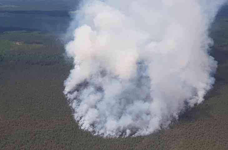 Самолет, вертолет, 120 человек. Под Пуховичами тушат лесной пожар 