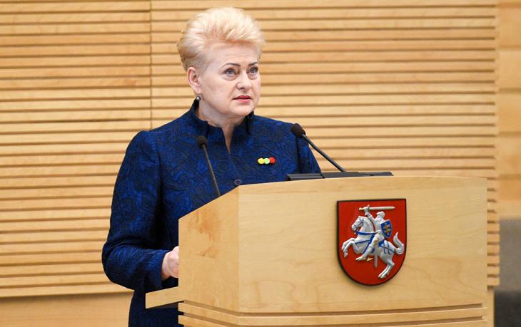 Перед уходом с поста президента Грибаускайте призвала добиваться полного закрытия БелАЭС