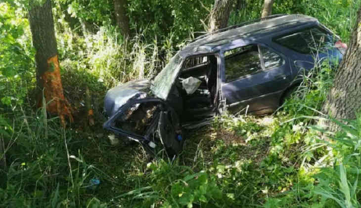 В Дрогичинском районе Peugeot врезался в дерево: пострадала водитель и 13-летняя пассажирка