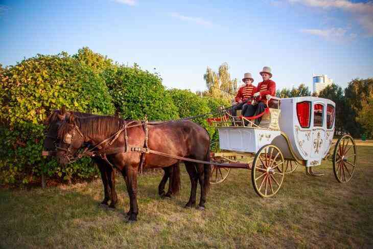 Во время наводнения фермеры устроили вечеринку 