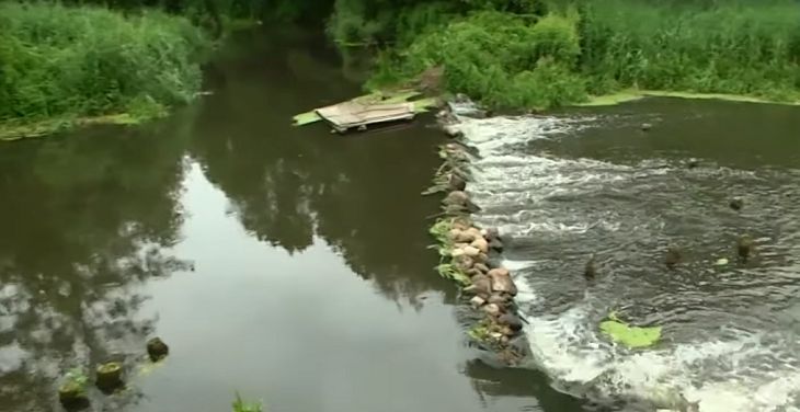 Мертвая река в Лидском районе: вода почернела, а рыба погибла