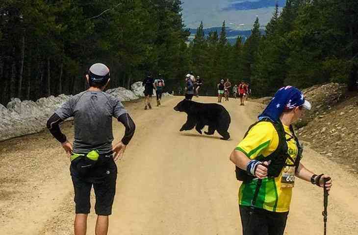 Медведь присоединился к марафону и «ускорил» его участников 