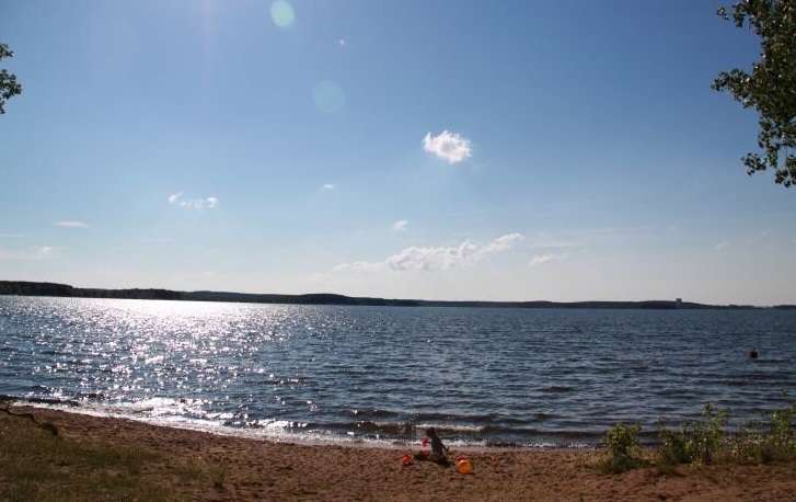 Сальмонелла в воде и 24-кратное превышение кишечной палочки. В Гомельской области закрывают пляжи