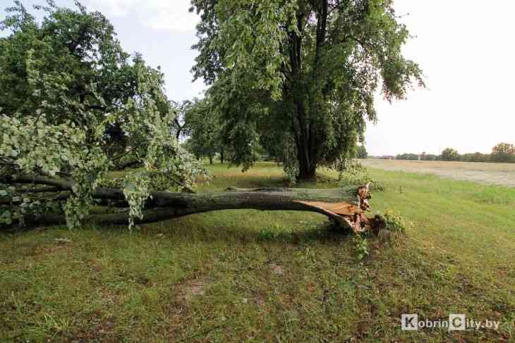 Стихия ударила по Кобрину: затоплены улицы, повалены деревья