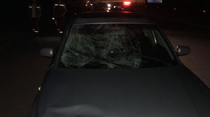 Под Минском накануне под колесами машины погиб человек 