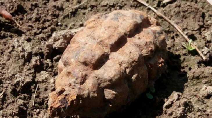 В Молодечненском районе мужчина нашел гранату