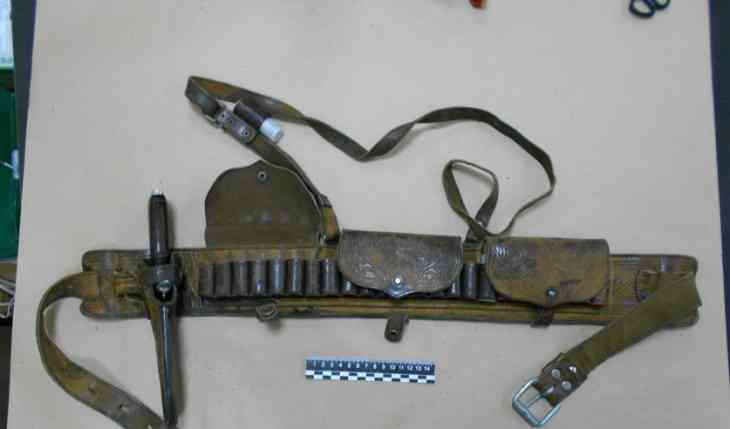 Убийцы копытных. На Брестчине будут судить 5 браконьеров