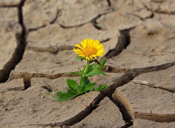 Специалисты назвали причину аномальной жары 2019 года Специалисты назвали причину аномальной жары 2019 года