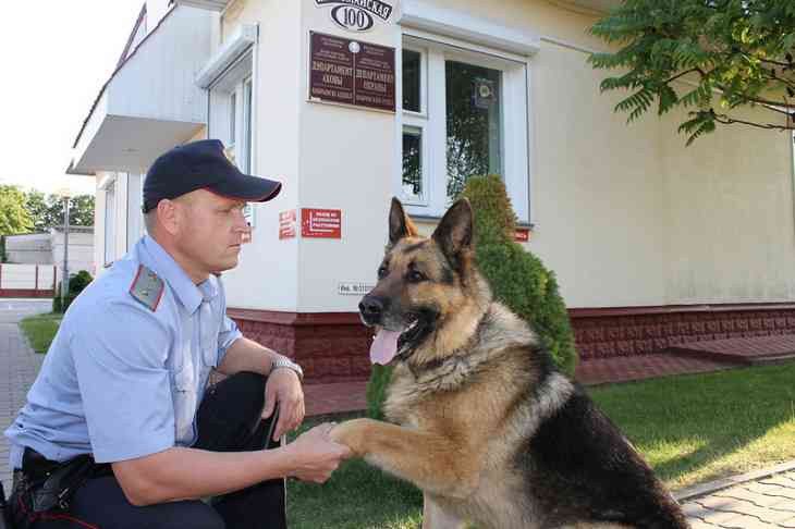 Под Кобрином пес нашел грабителя, душившего женщину