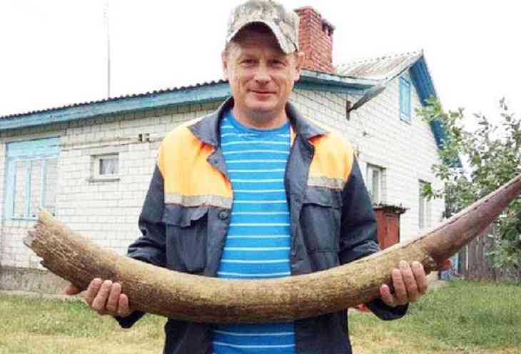 Лесник под Рогачевом нашел бивень мамонта 