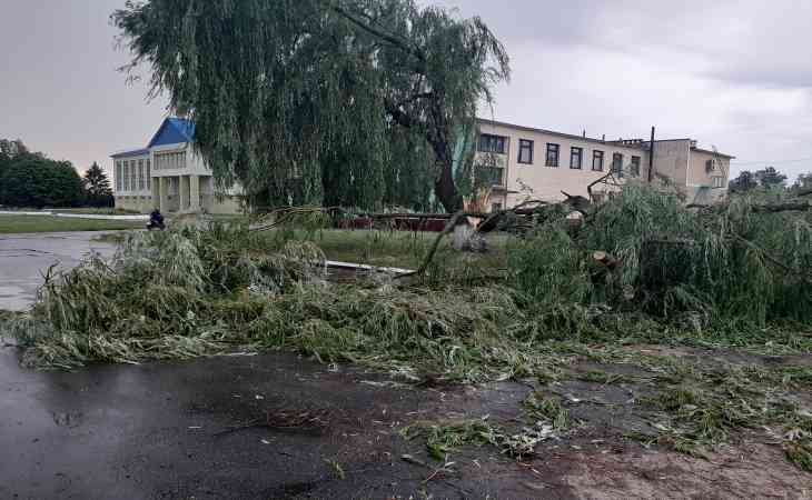 Более 500 населенных пунктов в Беларуси остаются без электричества из-за ветра