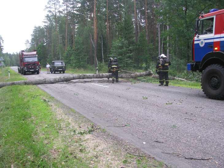 В Гомельской области повалены сотни деревьев. Пострадали десятки зданий и машин