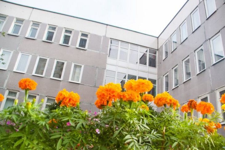 Родителям разрешили прогуливать работу из-за школьников