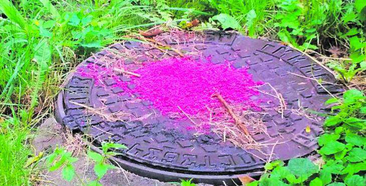 В Минске на канализационные люки кто-то насыпал странный порошок: что это было