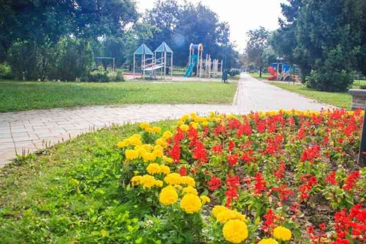 Что объединяет бухгалтера, артиста драмы и водителя авто в Бресте? Зарплата. Но всех обошел цветовод 