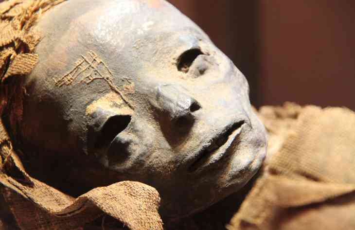 Ученые раскрыли секрет маски, которая сохраняла волосы мумий на протяжении нескольких тысяч лет