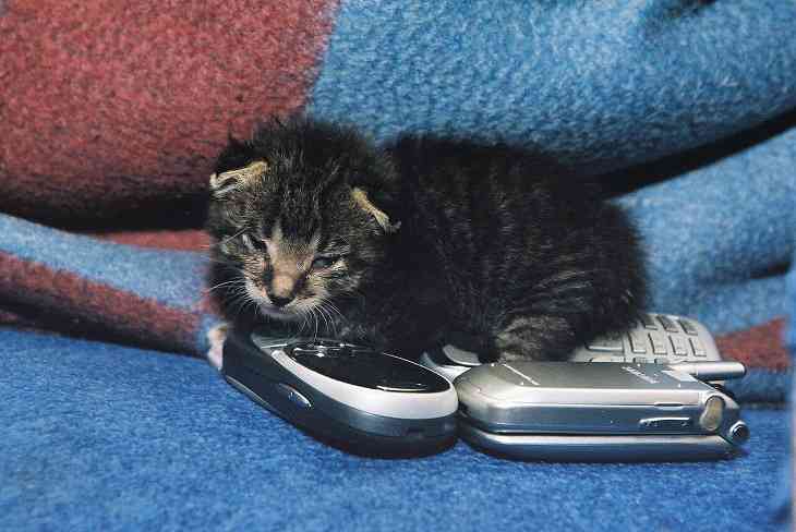 Названы города Беларуси, где живут самые забывчивые люди 