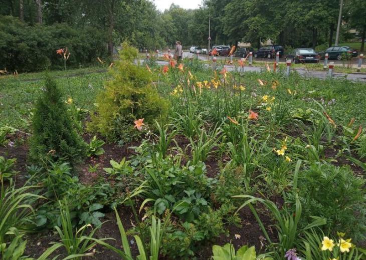 Ожидание — реальность. Посмотрите, как выглядит минский цветник за 11 тысяч рублей