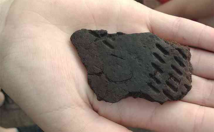 В Жлобинском районе археологи обнаружили предметы быта людей каменного века