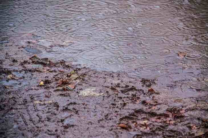 Погодное безобразие в середине лета. Прогноз на неделю с 15 по 21 июля