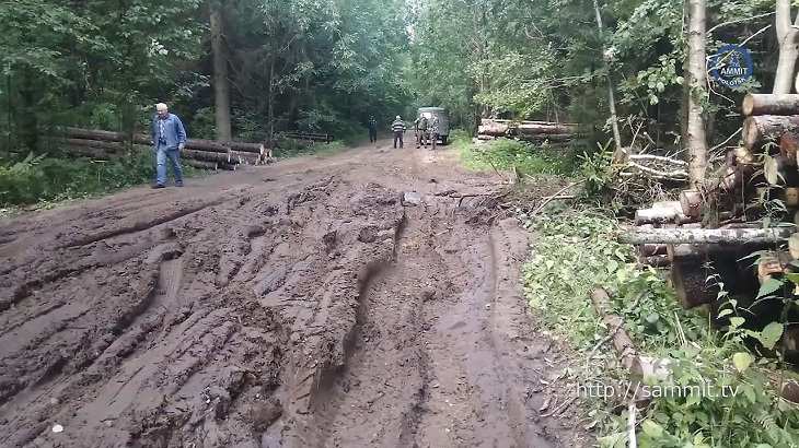 В Полоцком районе дачники оказались отрезаны от цивилизации В Полоцком районе дачники оказались отрезаны от цивилизации