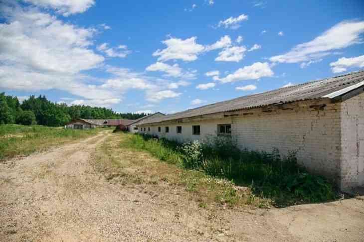 Кто и зачем финансирует безработных в деревнях Гомельщины 