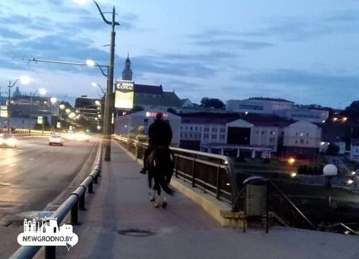 Принц нашего времени: в Гродно мужчина верхом на лошади отправился по делам 