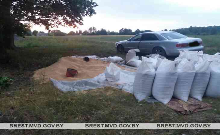 В Жабинковском районе водитель сельхозпредприятия перевозил пшеницу, но по дороге решил её продать В Жабинковском районе водитель сельхозпредприятия перевозил пшеницу, но по дороге решил её продать