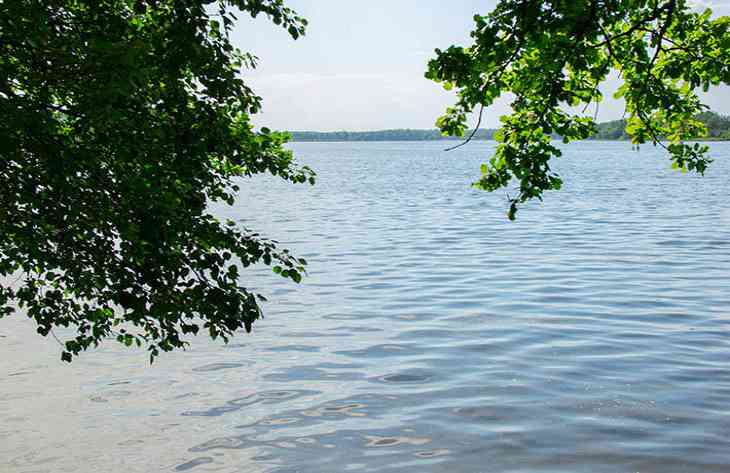 В Чашникском районе в озере обнаружили тело спасателя