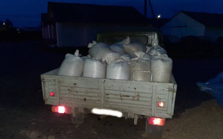 Хотел обогатиться: житель Осиповичского района украл более тонны зерна