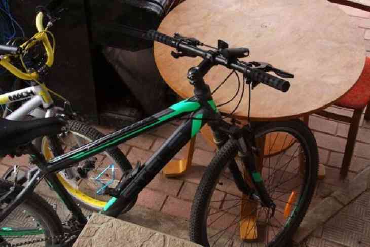 В Минске запустили байкшеринг, но пришли вандалы и стали закидывать байки на деревья 