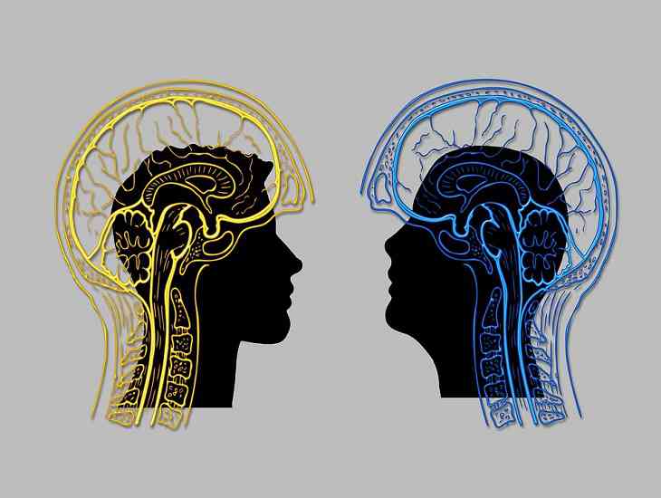 Ученые рассказали, чем отличается мозг убийцы от мозга простого человека