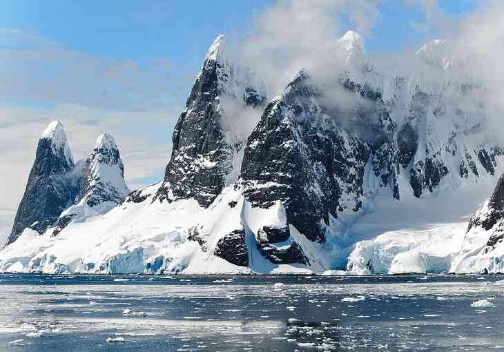  В Антарктиде ученые обнаружили загадочные мертвые организмы